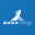 Aurora Energy logo